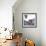 Iris Moth Design-Belen Mena-Framed Giclee Print displayed on a wall