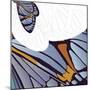 Iris Moth Design-Belen Mena-Mounted Giclee Print