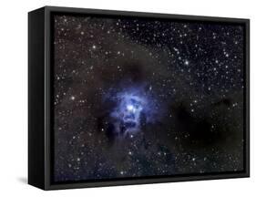 Iris Nebula-Stocktrek Images-Framed Stretched Canvas