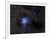 Iris Nebula-Stocktrek Images-Framed Photographic Print