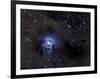 Iris Nebula-Stocktrek Images-Framed Photographic Print