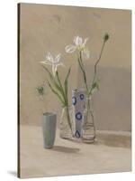 Iris & Nigella-William Packer-Stretched Canvas