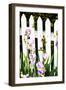 Iris on a Fence-Alan Hausenflock-Framed Photographic Print