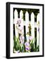 Iris on a Fence-Alan Hausenflock-Framed Photographic Print