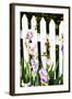 Iris on a Fence-Alan Hausenflock-Framed Photographic Print