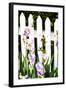 Iris on a Fence-Alan Hausenflock-Framed Photographic Print