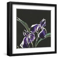 Iris on Black I-Chris Paschke-Framed Art Print