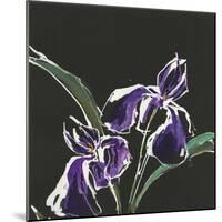 Iris on Black I-Chris Paschke-Mounted Art Print