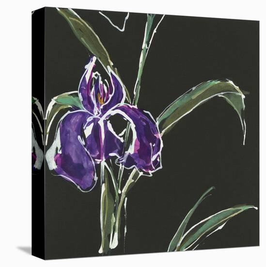 Iris on Black II-Chris Paschke-Stretched Canvas