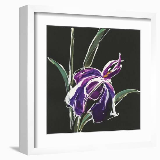 Iris on Black III-Chris Paschke-Framed Art Print