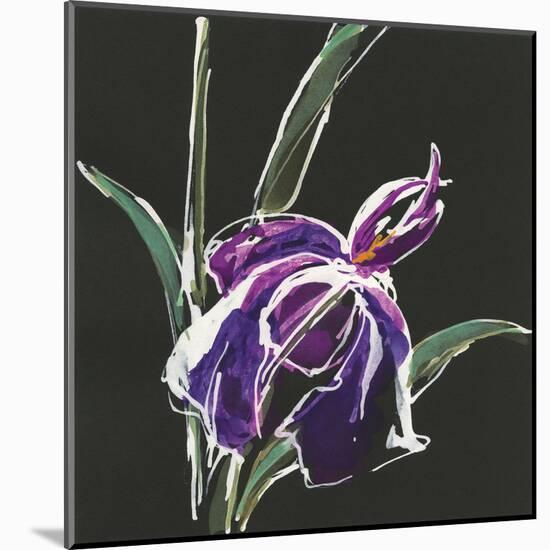 Iris on Black III-Chris Paschke-Mounted Art Print