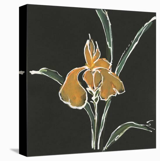 Iris on Black VI-Chris Paschke-Stretched Canvas