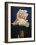 Iris on Blue-Jai Johnson-Framed Giclee Print