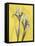 Iris on Canary-Albert Koetsier-Framed Stretched Canvas