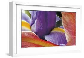 Iris Opening-Harold Davis-Framed Giclee Print