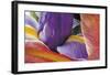 Iris Opening-Harold Davis-Framed Giclee Print