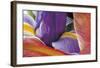 Iris Opening-Harold Davis-Framed Giclee Print