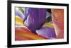 Iris Opening-Harold Davis-Framed Giclee Print