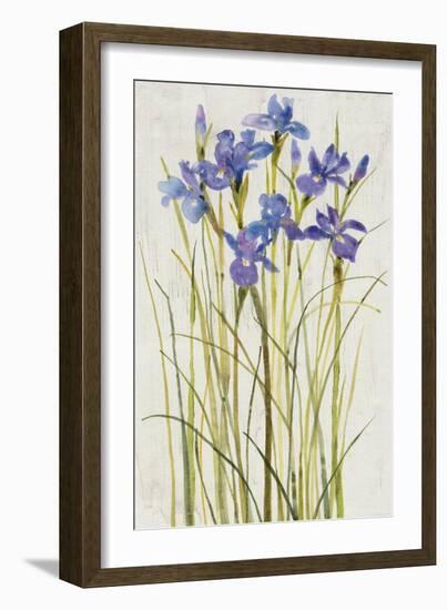 Iris Patch I-Tim OToole-Framed Art Print