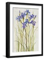 Iris Patch I-Tim OToole-Framed Art Print