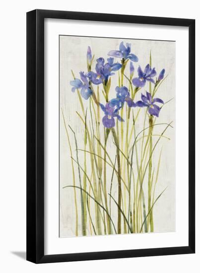 Iris Patch I-Tim OToole-Framed Art Print