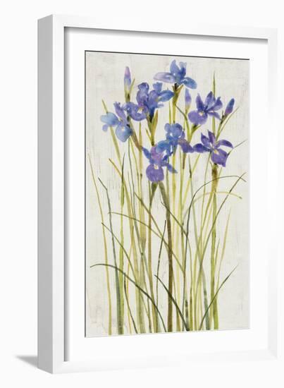 Iris Patch I-Tim OToole-Framed Art Print