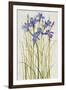 Iris Patch I-Tim OToole-Framed Art Print