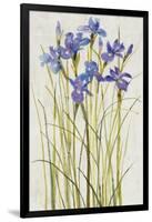 Iris Patch I-Tim OToole-Framed Art Print