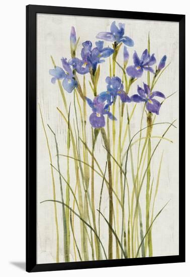 Iris Patch I-Tim OToole-Framed Art Print