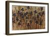 Iris Pattern-Tim O'toole-Framed Giclee Print