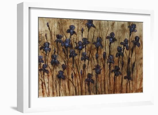 Iris Pattern-Tim O'toole-Framed Giclee Print