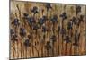 Iris Pattern-Tim O'toole-Mounted Giclee Print