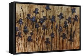 Iris Pattern-Tim O'toole-Framed Stretched Canvas