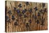 Iris Pattern-Tim O'toole-Stretched Canvas