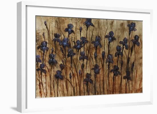 Iris Pattern-Tim O'toole-Framed Giclee Print