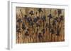 Iris Pattern-Tim O'toole-Framed Giclee Print