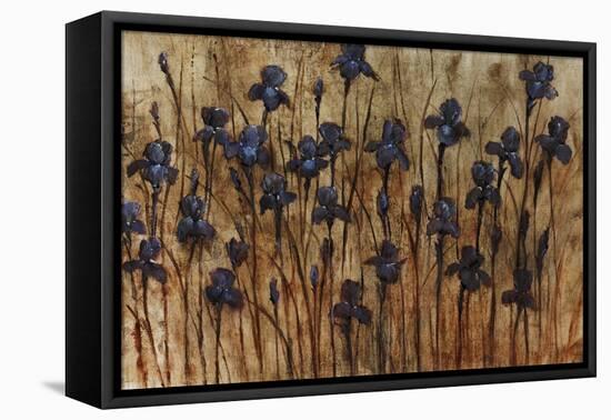 Iris Pattern-Tim O'toole-Framed Stretched Canvas