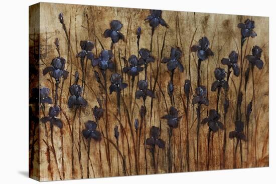 Iris Pattern-Tim O'toole-Stretched Canvas