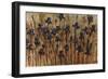 Iris Pattern-Tim O'toole-Framed Giclee Print