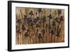 Iris Pattern-Tim O'toole-Framed Giclee Print