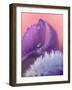 Iris Petal Close-up-Nancy Rotenberg-Framed Photographic Print