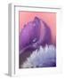 Iris Petal Close-up-Nancy Rotenberg-Framed Photographic Print