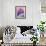 Iris Petal Close-up-Nancy Rotenberg-Framed Photographic Print displayed on a wall