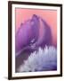 Iris Petal Close-up-Nancy Rotenberg-Framed Photographic Print