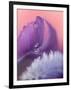 Iris Petal Close-up-Nancy Rotenberg-Framed Photographic Print