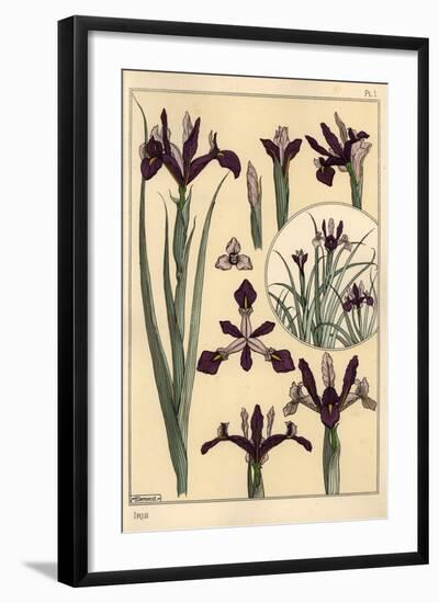 Iris Plant and Flower Parts, with Inset, 1897 (Lithograph)-Eugene Grasset-Framed Giclee Print