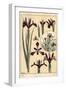 Iris Plant and Flower Parts, with Inset, 1897 (Lithograph)-Eugene Grasset-Framed Giclee Print