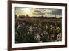 Iris Production Field at Sunset, Schreiner's Iris Gardens, Keizer, Oregon, USA-Rick A. Brown-Framed Photographic Print