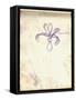 Iris (Purple Pencil on Paper)-Claude Monet-Framed Stretched Canvas