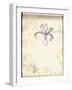 Iris (Purple Pencil on Paper)-Claude Monet-Framed Giclee Print